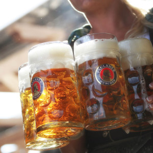 paulaner oktoberfest x  x